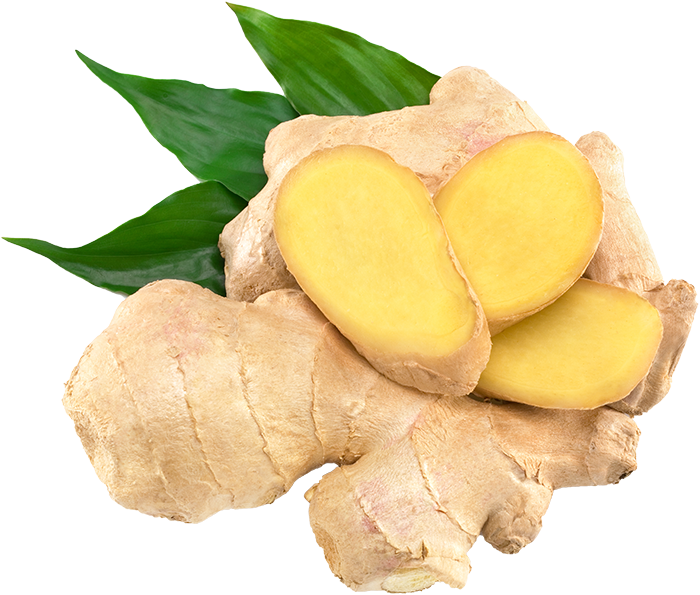 Ginger-PNG-Clipart.png