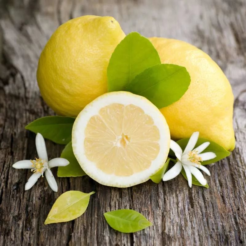 лимон цветок.jpg